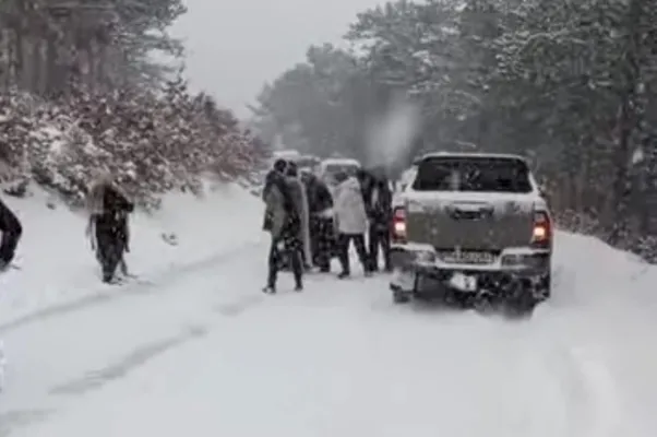 Karagöl Yaylası'nda mahsur kalanlar kurtarıldı
