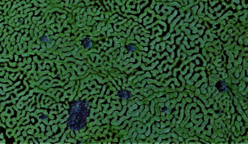 Karagöl Yaylası'ndam eşsiz kareler