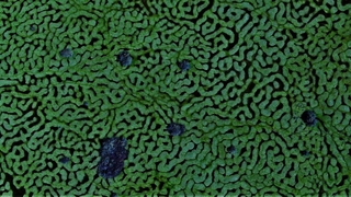 Karagöl Yaylası'ndam eşsiz kareler