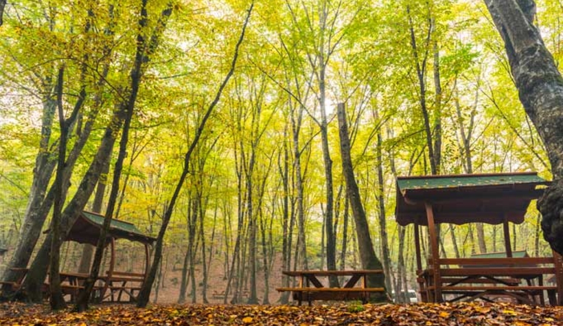 Karantinada olması gereken 78 kişi piknikte yakalandı