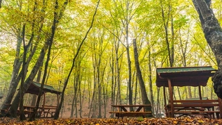 Karantinada olması gereken 78 kişi piknikte yakalandı