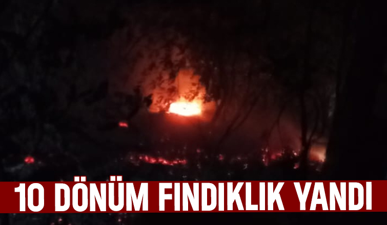 Karapürçek'te fındıklık yandı