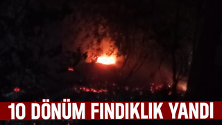 Karapürçek'te fındıklık yandı