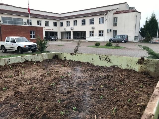 Karapürçek'te salep üretilecek