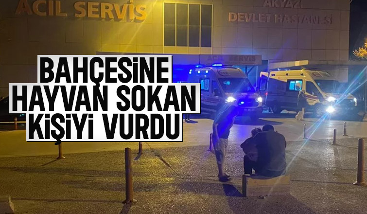 Bahçesine hayvan sokan kişiyi vurdu
