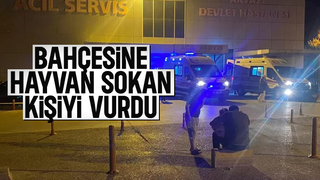 Bahçesine hayvan sokan kişiyi vurdu