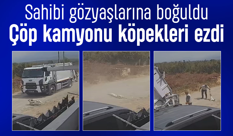 Karapürçek’te çöp kamyonu iki köpeği ezdi