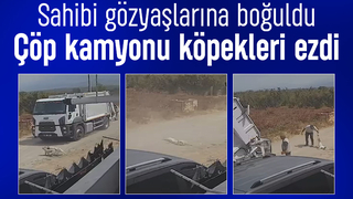 Karapürçek’te çöp kamyonu iki köpeği ezdi