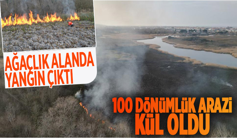 Karasu'da 100 dönümlük arazi kül oldu
