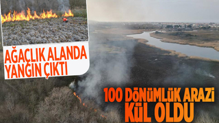 Karasu'da 100 dönümlük arazi kül oldu