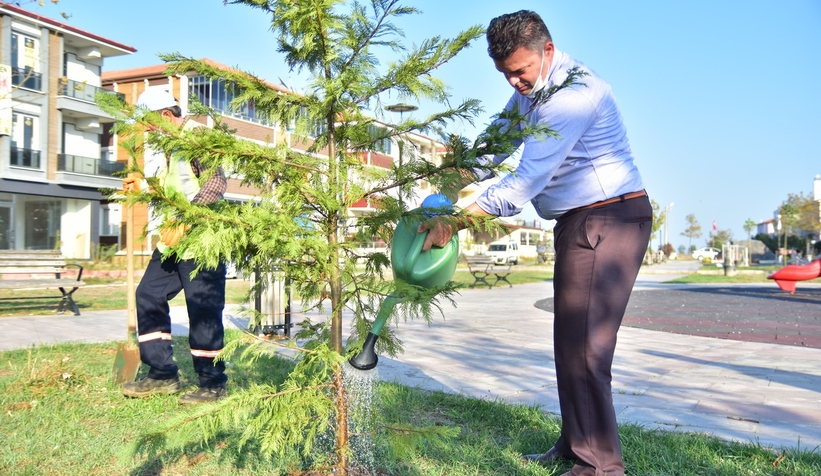 Karasu'da ağaçlandırma seferberliği