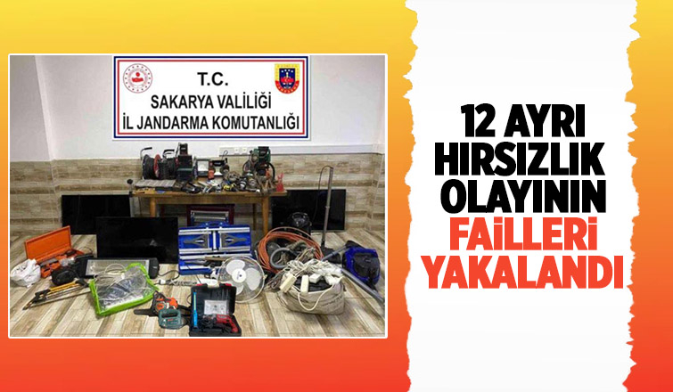 Karasu'da azılı hırsızlar yakalandı