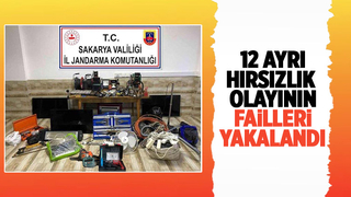 Karasu'da azılı hırsızlar yakalandı