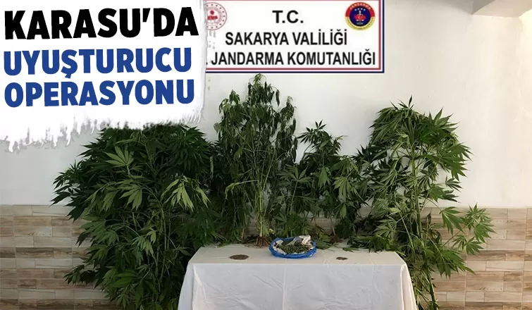 Karasu'da bir eve uyuşturucu baskını