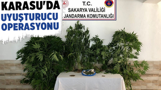 Karasu'da bir eve uyuşturucu baskını