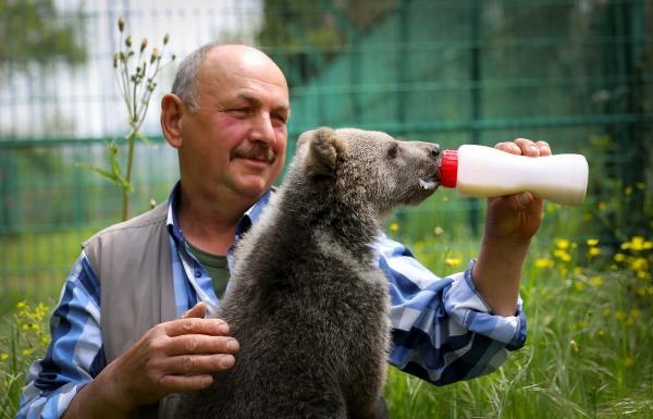 Karasu'da bulunmuştu; Dolunay'ı biberonla besliyorlar
