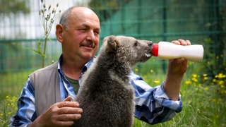 Karasu'da bulunmuştu; Dolunay'ı biberonla besliyorlar