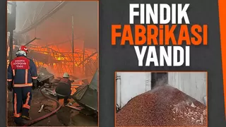 Karasu'da fındık fabrikası alev alev yandı