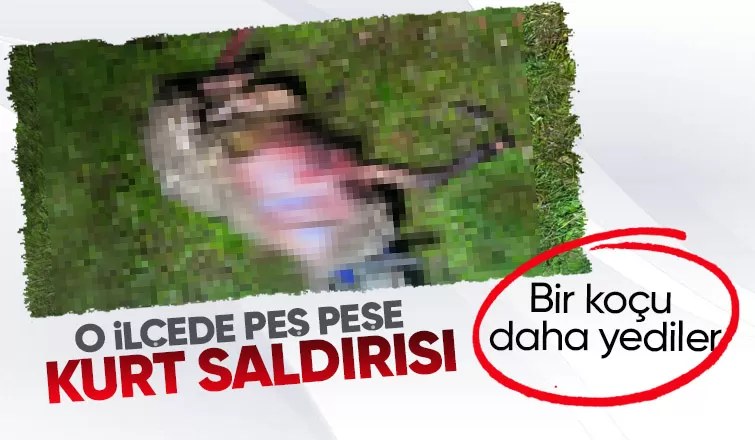 Karasu da kurt dehşeti sürüyor