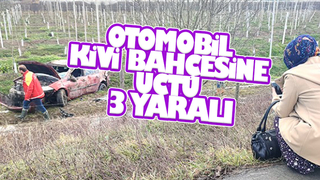 Karasu'da otomobil kivi bahçesine uçtu: 3 yaralı