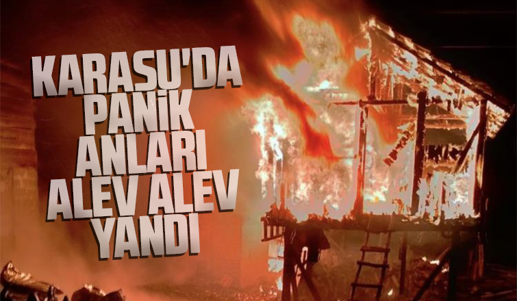 Karasu'da panik anları; Alevlere teslim oldu