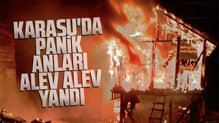 Karasu'da panik anları; Alevlere teslim oldu