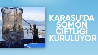 Karasu'da somon balığı üretim çiftliği kuruluyor