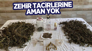 Karasu'da uyuşturucu operasyonu: 1 gözaltı