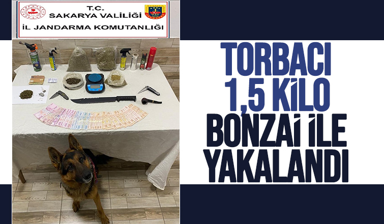 Karasu'da uyuşturucu operasyonu