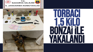 Karasu'da uyuşturucu operasyonu