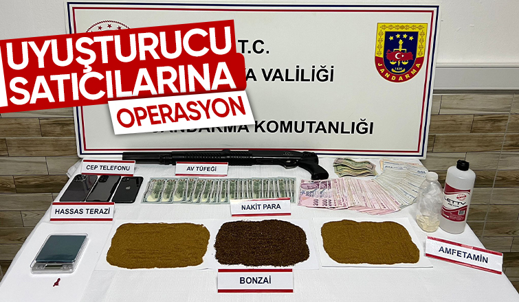 Karasu'da uyuşturucu operasyonu