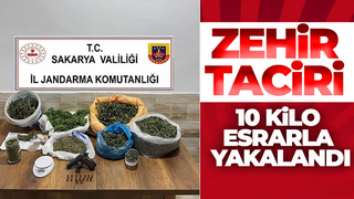 Karasu'da uyuşturucu operasyonu