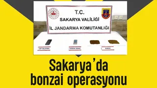 Karasu'da uyuşturucu operasyonu