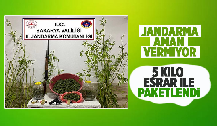 Karasu'da uyuşturucu operasyonu