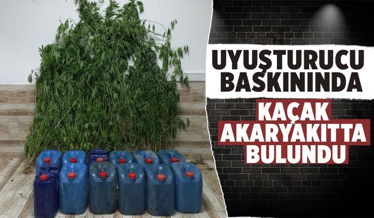 Karasu'da uyuşturucu operasyonu