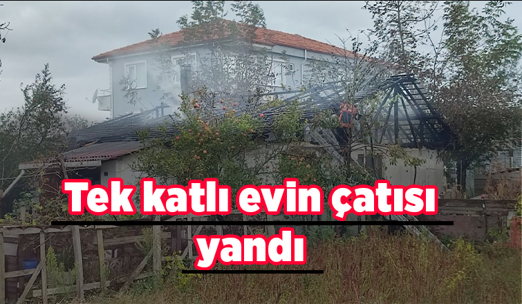 Karasu'da yangın: 1 kişi dumandan etkilendi