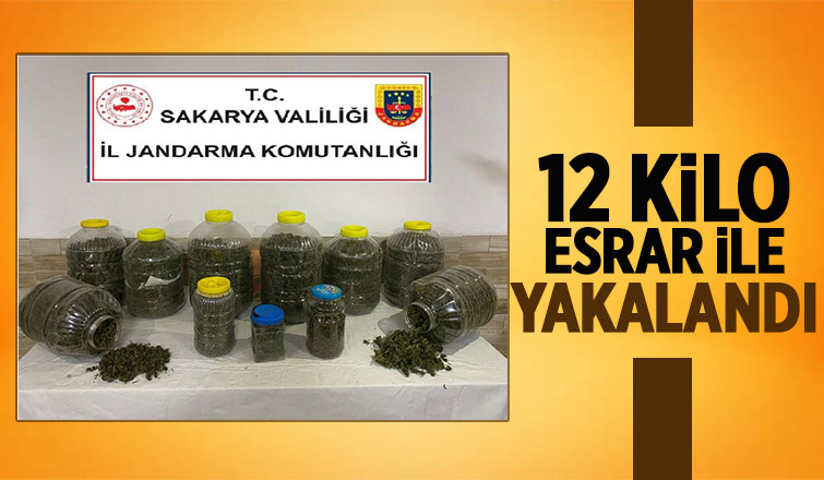 Karasu'da zehir operasyonu