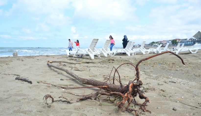 Karasu sahili kütük, dal parçalarıyla doldu