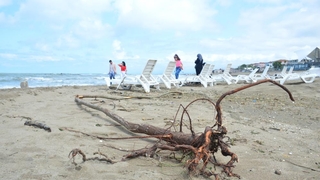 Karasu sahili kütük, dal parçalarıyla doldu