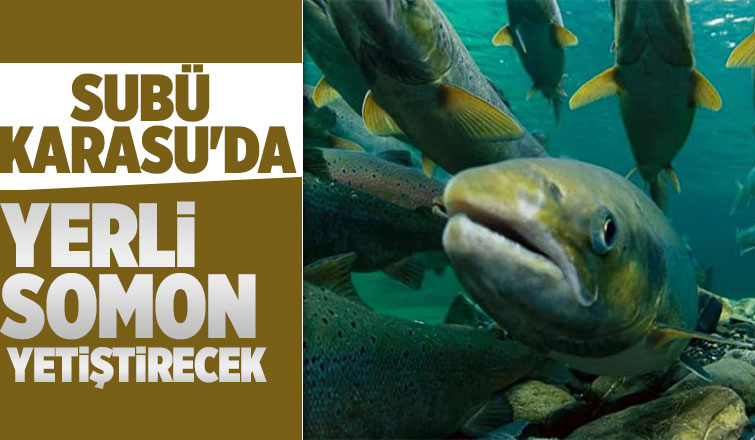 Karasu Somon Balığı İşleme Tesisi kurulacak