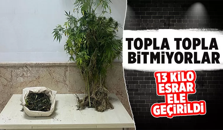 Karasu ve Kocaali'de uyuşturucu operasyonları