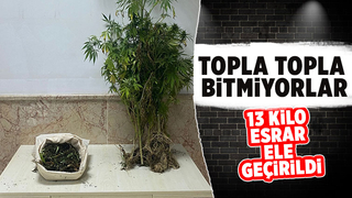 Karasu ve Kocaali'de uyuşturucu operasyonları