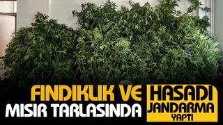 Karasu ve Kocaali'de uyuşturucu operasyonları