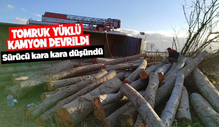 Karasu yolunda tomruk yüklü kamyon devrildi