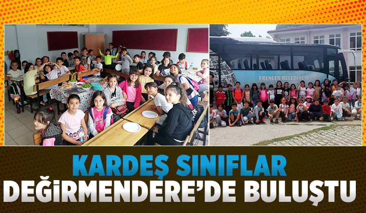 kardeş sınıf projesi