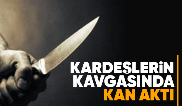 Kardeşini bıçakladı