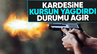 Kardeşini silahla vurarak ağır yaraladı