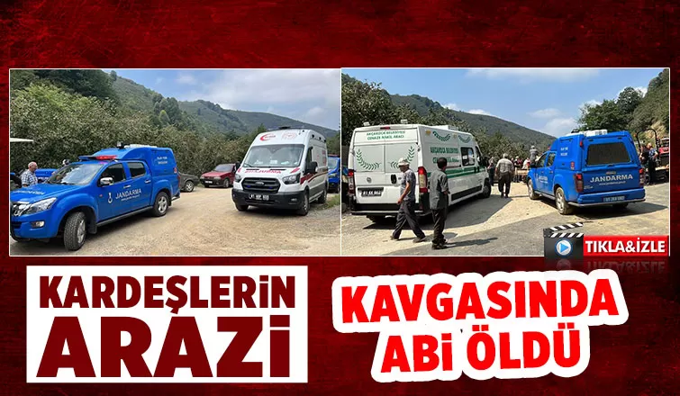 Kardeşlerin arazi kavgası ölümle bitti