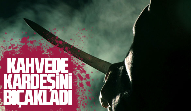 Kardeşlerin kavgası kanlı bitti