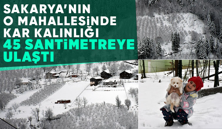 Karın tadını bu kez çocuklar değil, yetişkinler çıkardı